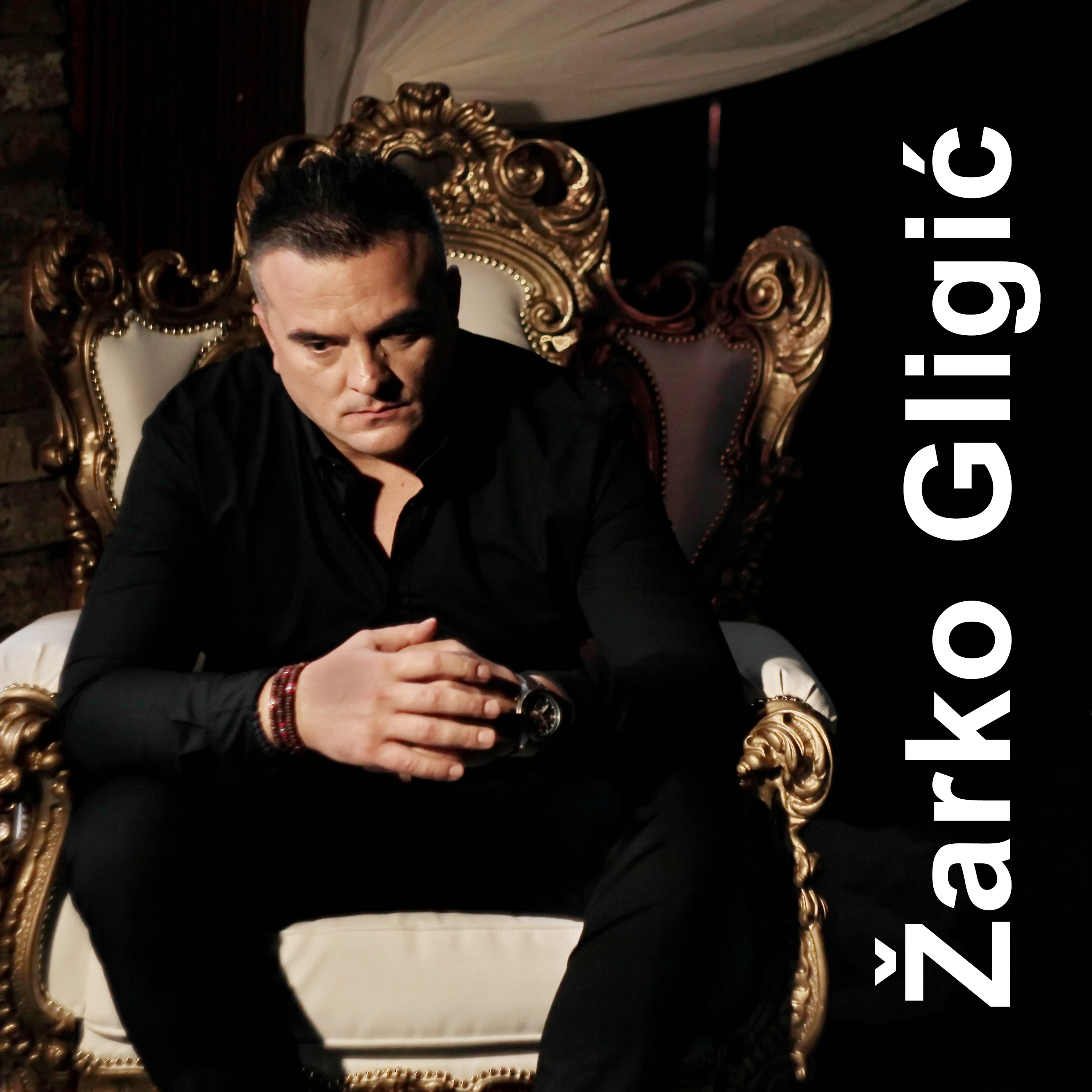 BN Music Produkcija | Žarko Gligić